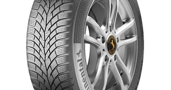 Popular CONTINENTAL WINTER CONTACT TS870 195/60 R16 89H