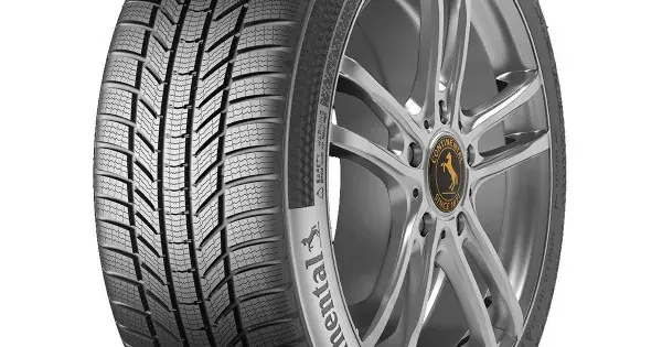 CONTINENTAL WINTER CONTACT TS870 P FR 225/65 R17 102T Doar azi