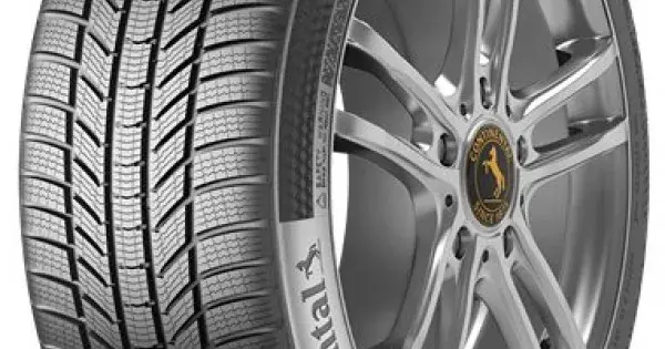 CONTINENTAL WINTERCONTACT TS 870 P 205/50 R17 93H Doar azi