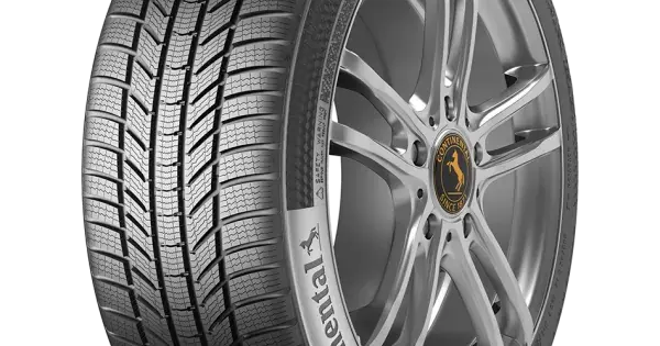 CONTINENTAL WinterContact TS 870 P 205/55 R17 91H Retur ușor