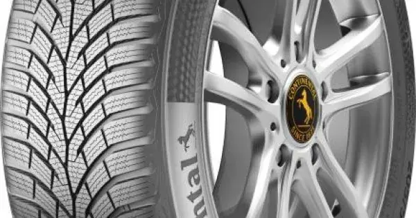 CONTINENTAL WINTERCONTACT TS 870 P 205/60 R16 92H Calitate înaltă