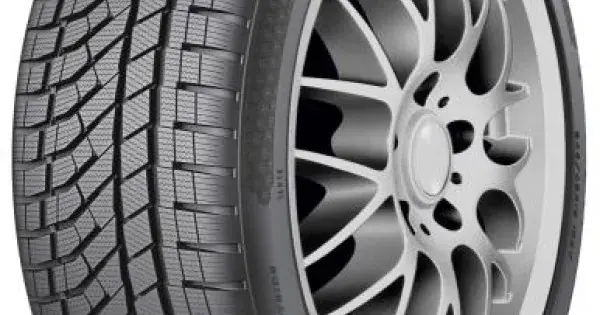 Livrare rapidă Falken Eurowinter HS02 Pro 235/50 R21 101V