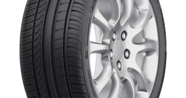 FORTUNE FSR-701 255/30 R19 91Y XL Popular