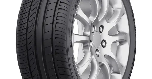 FORTUNE FSR701 225/35 R19 88Y XL Chilipir