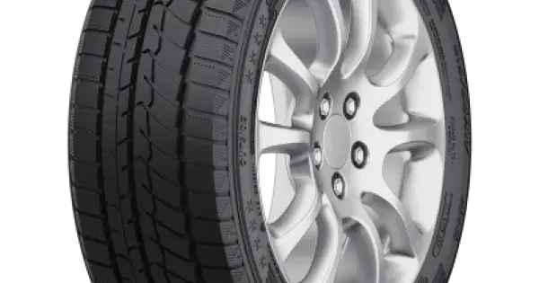FORTUNE SNOWFUN FSR-901 225/50 R17 98V Preferatul clienților