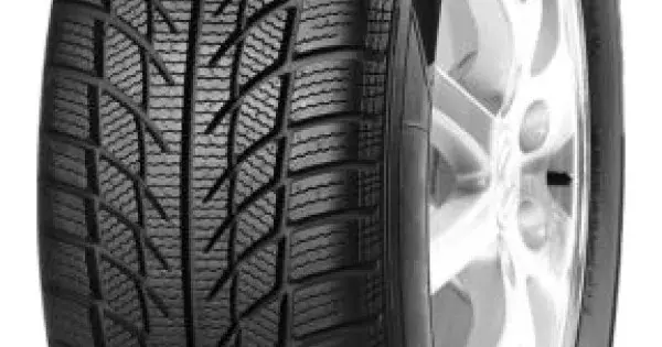 GOODRIDE Snowmaster SW608 205/55 R16 91H Reducere de preț