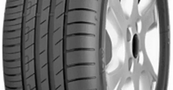 GOODYEAR Efficientgrip performance 195/55 R20 95H Promoție