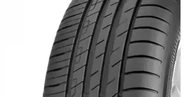 GOODYEAR EFFIGRIP PERF 205/55 R19 97H Transport gratuit