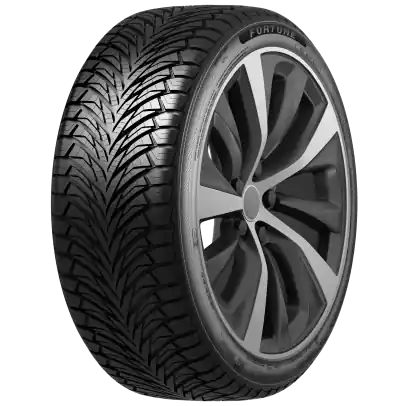 Preț mic Anvelopa All Season 205/55R17 95W FORTUNE FitClime FSR-401