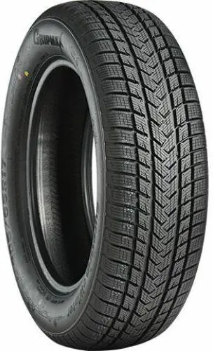 Plată securizată Anvelopa Iarna 205/45 R17 88V XL GRIPMAX SUREGRIP eWINTER