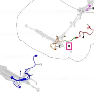 Wiring harness, actuator control module - BMW Ofertă exclusivă